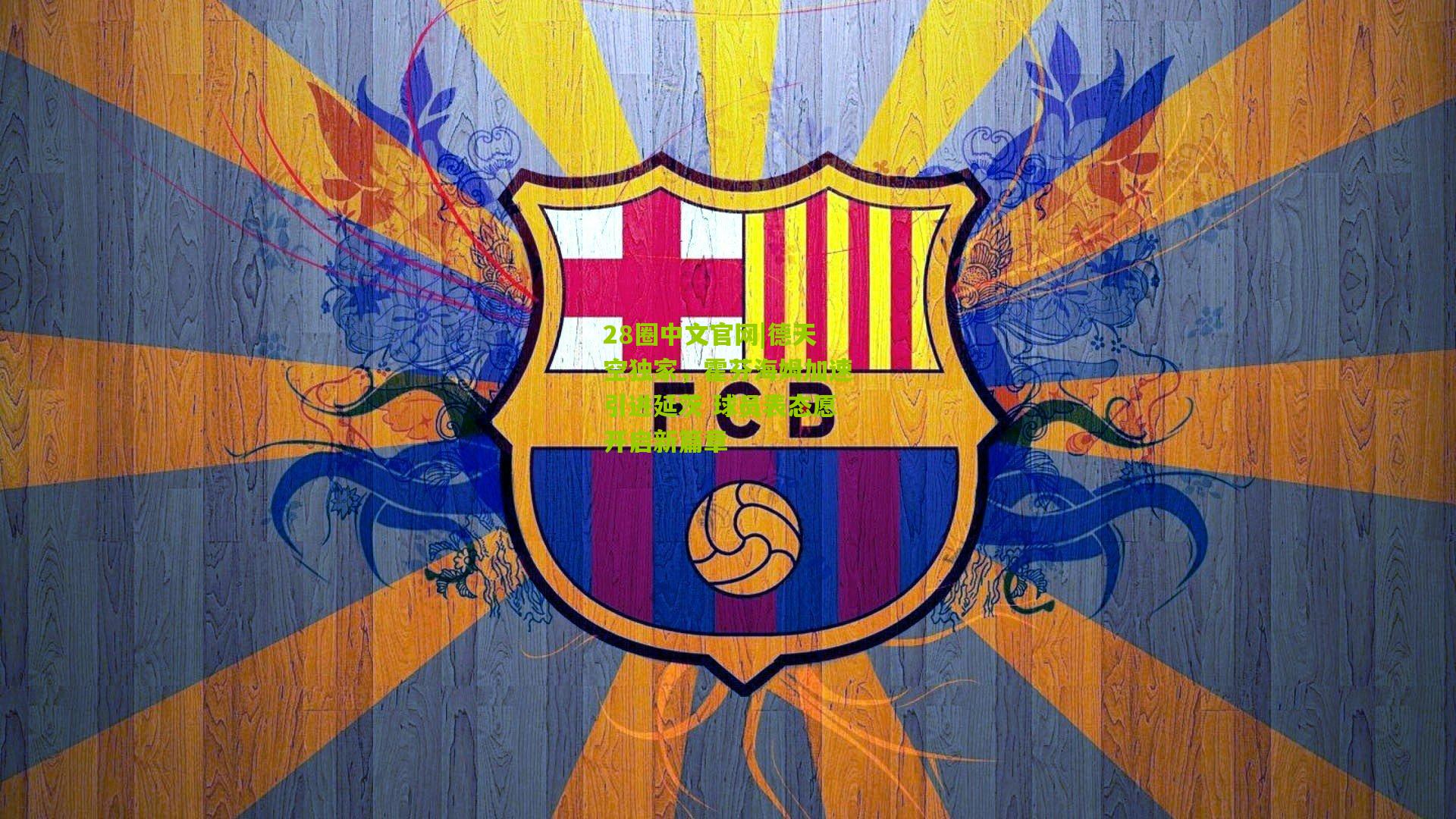 德天空独家，霍芬海姆加速引进延茨 球员表态愿开启新篇章